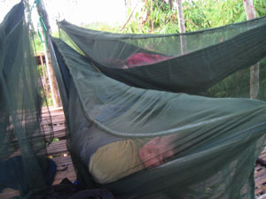 the most comfortable bed EVER