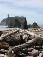 Pacific Northwest Olympic National Park Ruby Beach Driftwood