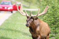 Nice Rack! Nice Rack!
